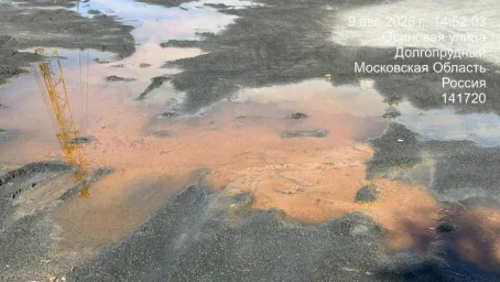 Независимая лаборатория зафиксировала в воде водохранилища высокий уровень бактерий и нефти
